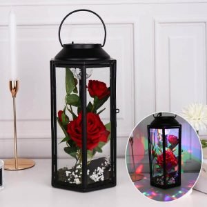 Rose Gift LED Light in Hexagonal Glass